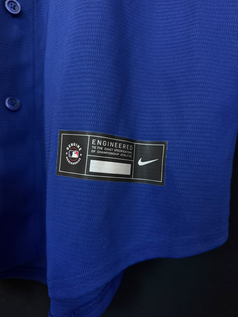 Shohei Ohtani Los Angeles Dodgers Nike Alternate Stadium Jersey - Azul